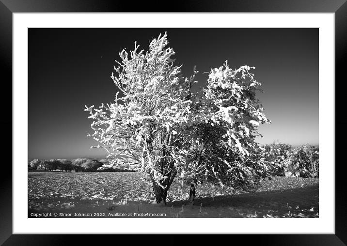 frosted tree in Monochrome  Framed Mounted Print by Simon Johnson