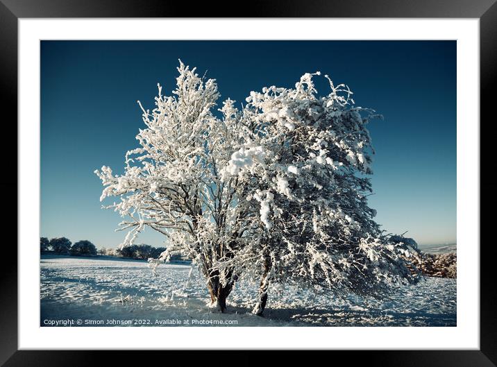 frosted tree Framed Mounted Print by Simon Johnson