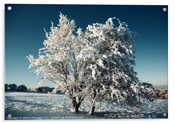 frosted tree Acrylic by Simon Johnson