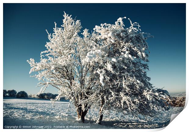 Frosted tree Print by Simon Johnson