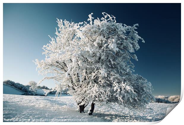 frosted  tree Print by Simon Johnson