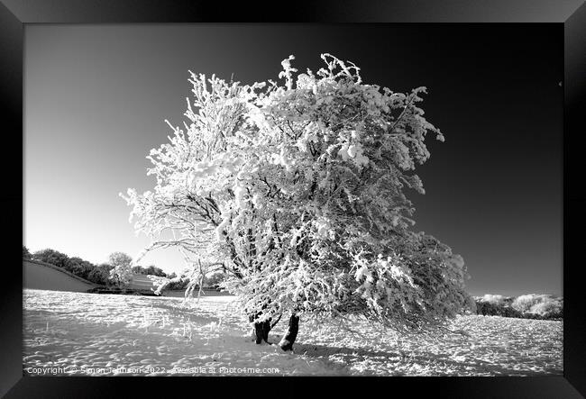 Frosted tree in monochrome  Framed Print by Simon Johnson