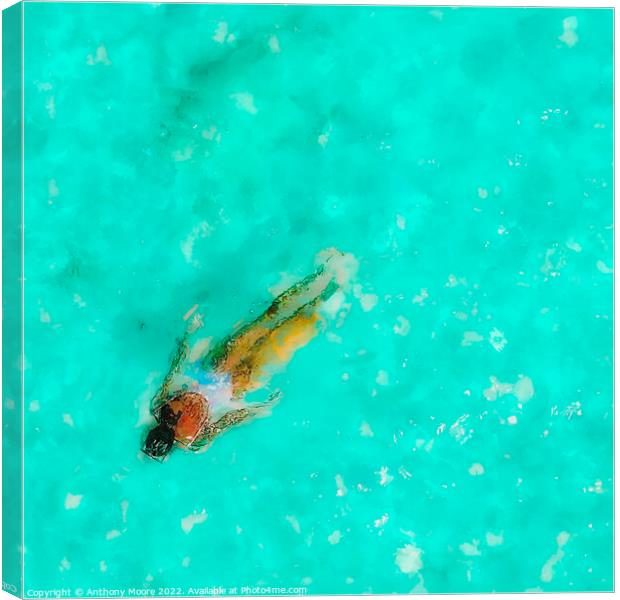 Cool in the Pool Canvas Print by Anthony Moore