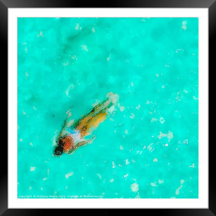 Cool in the Pool Framed Mounted Print by Anthony Moore