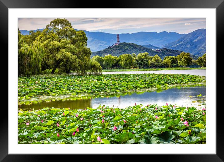 Yue Feng Pagoda Lotus Garden Summer Palace Beijing Framed Mounted Print by William Perry