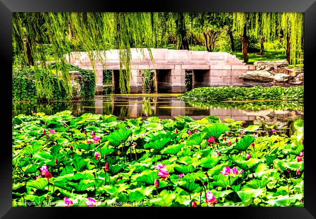 Lotus Garden Bridge Summer Palace Beijing, China Framed Print by William Perry