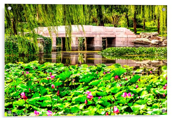Lotus Garden Bridge Summer Palace Beijing, China Acrylic by William Perry