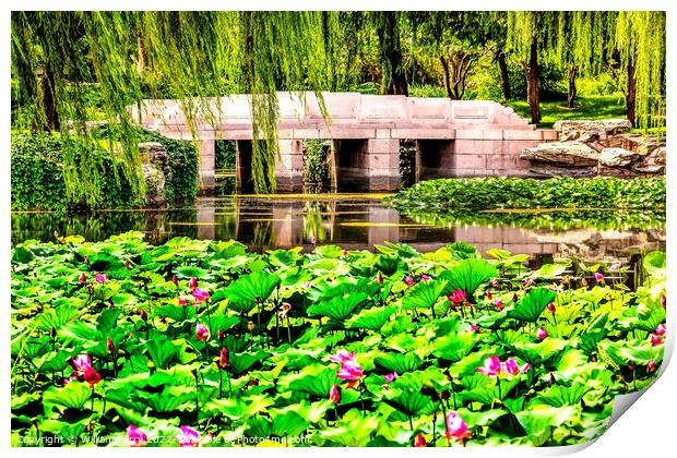 Lotus Garden Bridge Summer Palace Beijing, China Print by William Perry