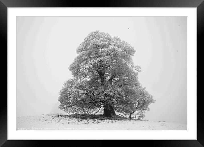 Frosted tree in snow and fog Framed Mounted Print by Simon Johnson