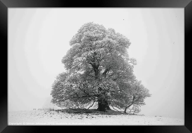 Frosted tree in snow and fog Framed Print by Simon Johnson