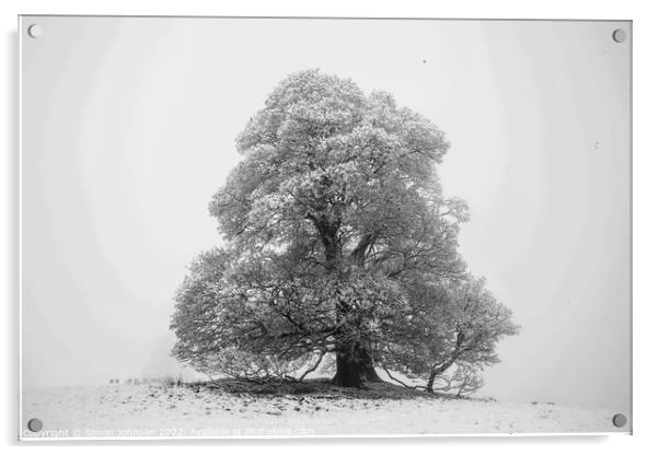 Frosted tree in snow and fog Acrylic by Simon Johnson