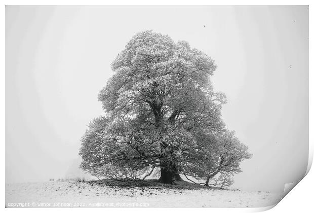 Frosted tree in snow and fog Print by Simon Johnson