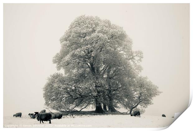 Frosted tree, sheep fog and Snow Print by Simon Johnson