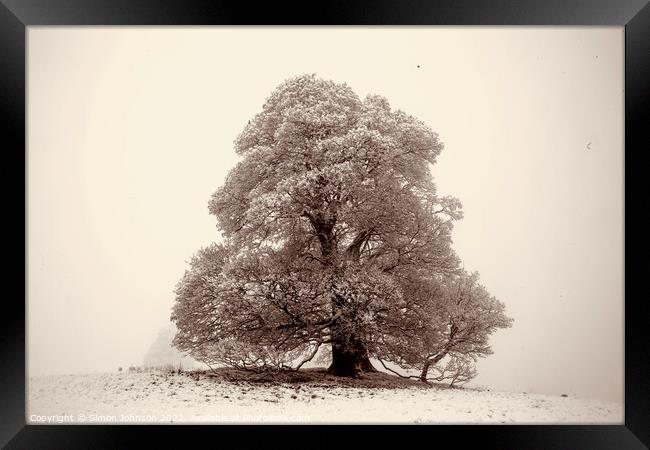 Frosted  tree sepia Framed Print by Simon Johnson