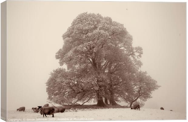 Tree fog and Snow Canvas Print by Simon Johnson