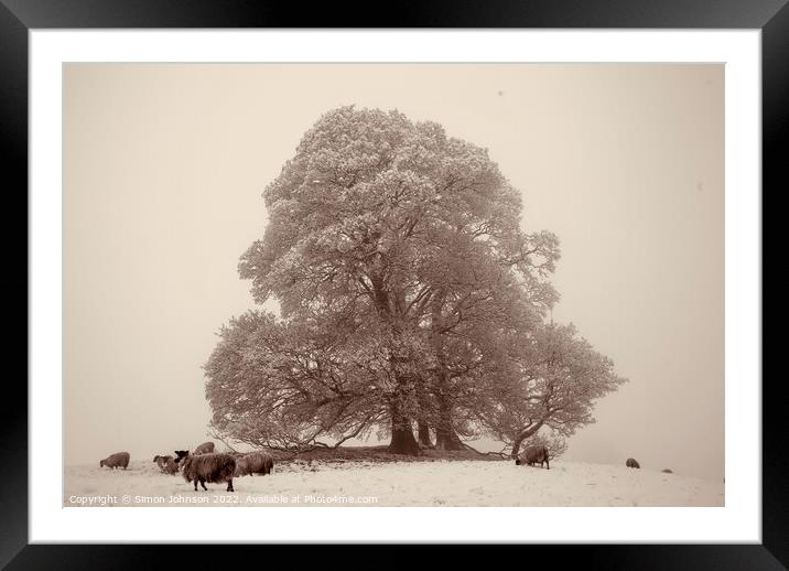 Tree fog and Snow Framed Mounted Print by Simon Johnson