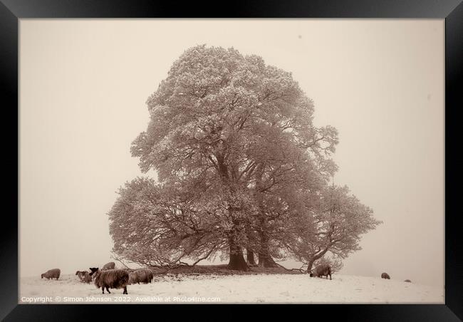 Tree fog and Snow Framed Print by Simon Johnson