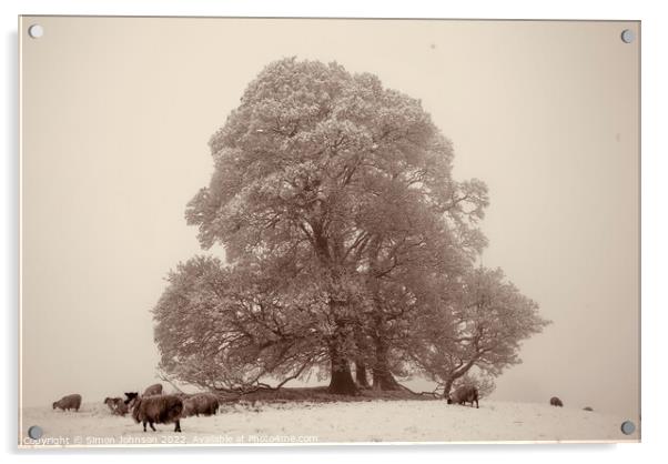 Tree fog and Snow Acrylic by Simon Johnson