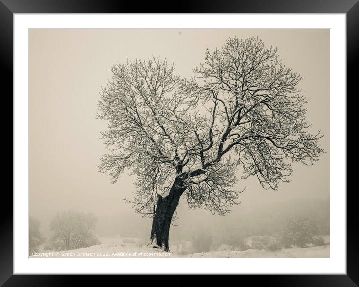 Isolated tree Framed Mounted Print by Simon Johnson