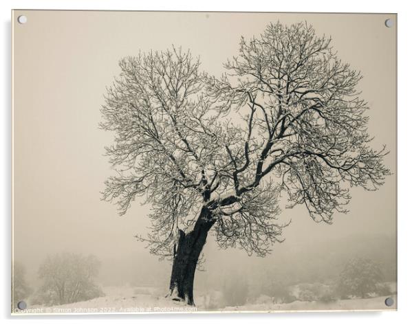 Isolated tree Acrylic by Simon Johnson