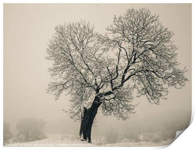Isolated tree Print by Simon Johnson