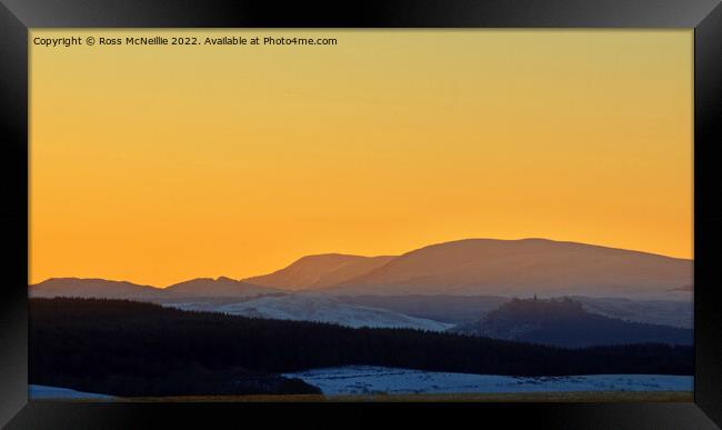 Majestic Merrick at Winter Sunrise Framed Print by Ross McNeillie