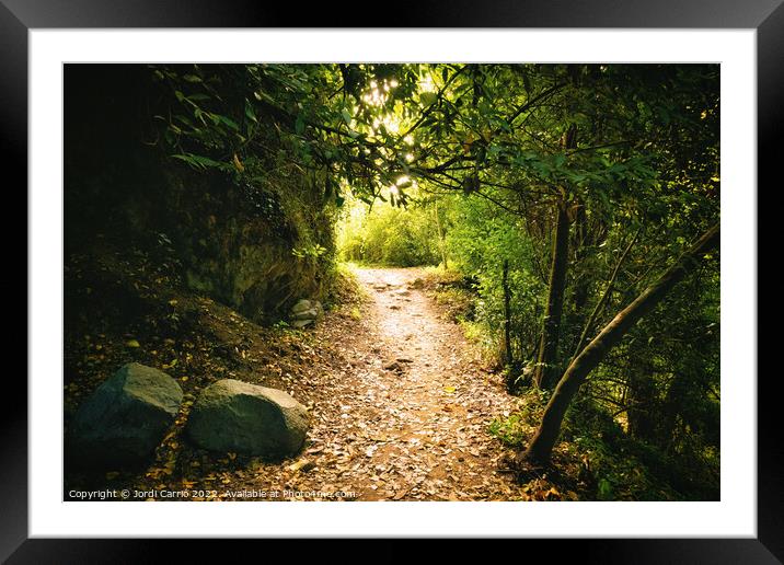 Vintage edition of a path of light contrasts Framed Mounted Print by Jordi Carrio