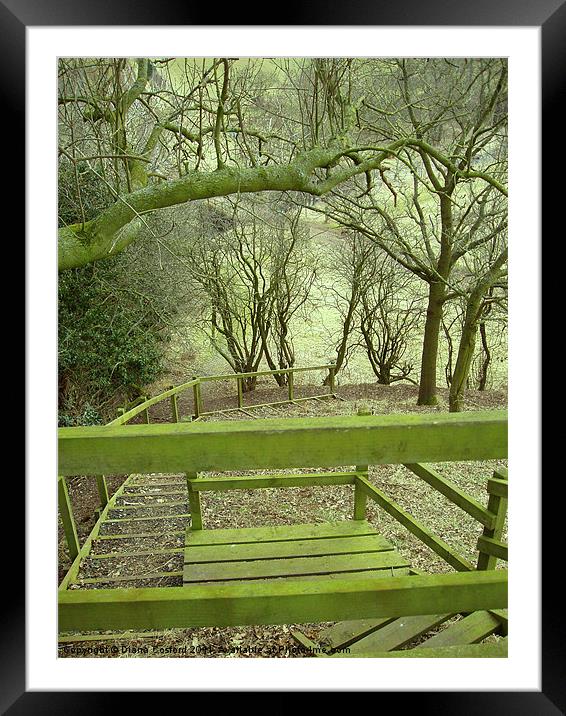Green Stairway Framed Mounted Print by DEE- Diana Cosford