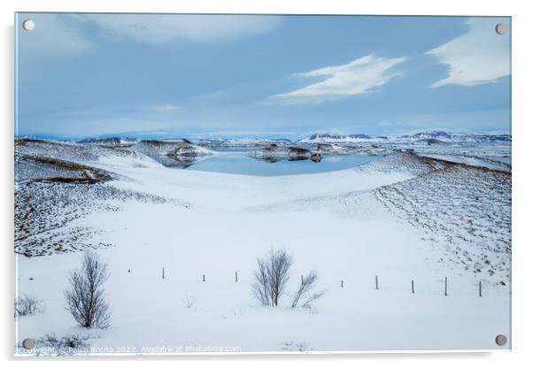 Skutustadagigar, lake Myvatn, Iceland Acrylic by Paulo Rocha