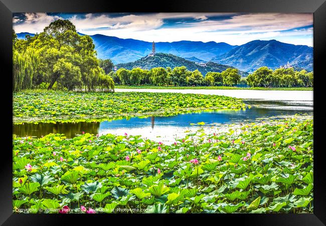 Yue Feng Pagoda Lotus Garden Summer Palace Beijing China Framed Print by William Perry