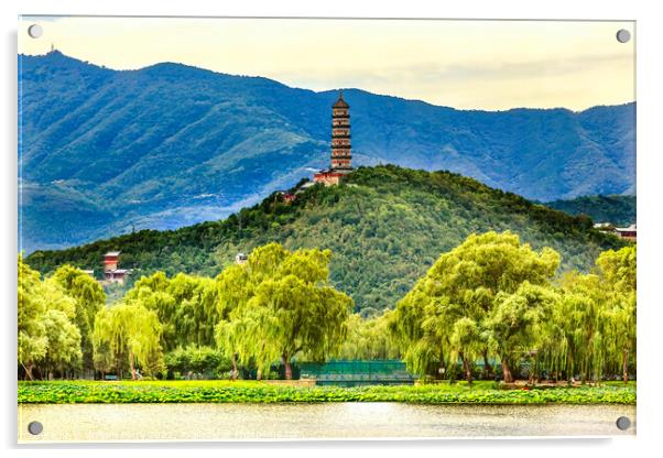 Yue Feng Pagoda Lake Willow Trees Summer Palace Beijing China Acrylic by William Perry