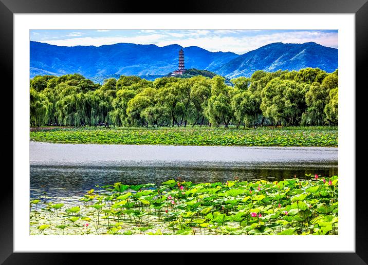 Yue Feng Pagoda Lotus Garden Summer Palace Beijing China Framed Mounted Print by William Perry