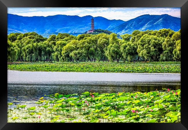 Yue Feng Pagoda Lotus Garden Summer Palace Beijing China Framed Print by William Perry