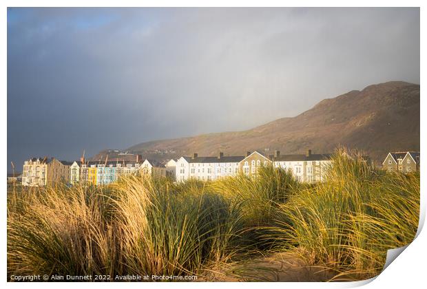 Barmouth in dunes Print by Alan Dunnett