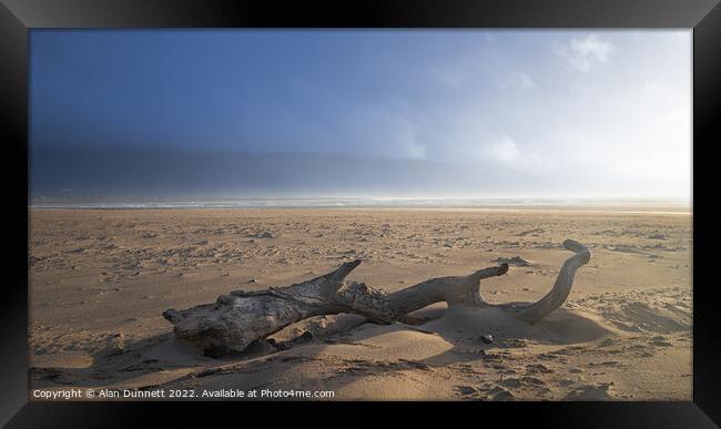 Driftwood Framed Print by Alan Dunnett