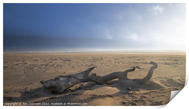 Driftwood Print by Alan Dunnett