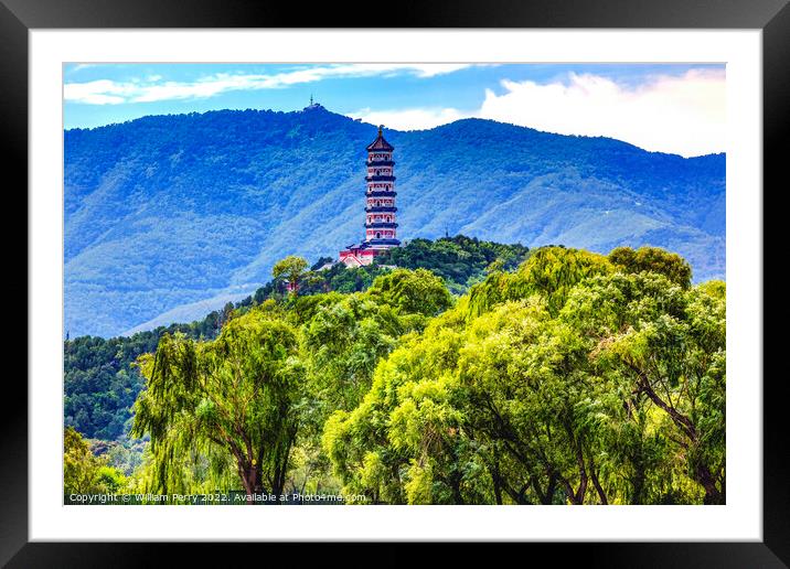 Yue Feng Pagoda Willow Trees Summer Palace Beijing China Framed Mounted Print by William Perry
