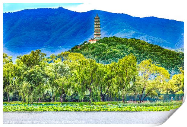 Yue Feng Pagoda Lotus Garden Summer Palace Beijing China Print by William Perry