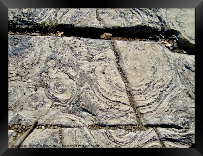 Stromatolites on the bed of the Ottawa River Framed Print by Stephanie Moore