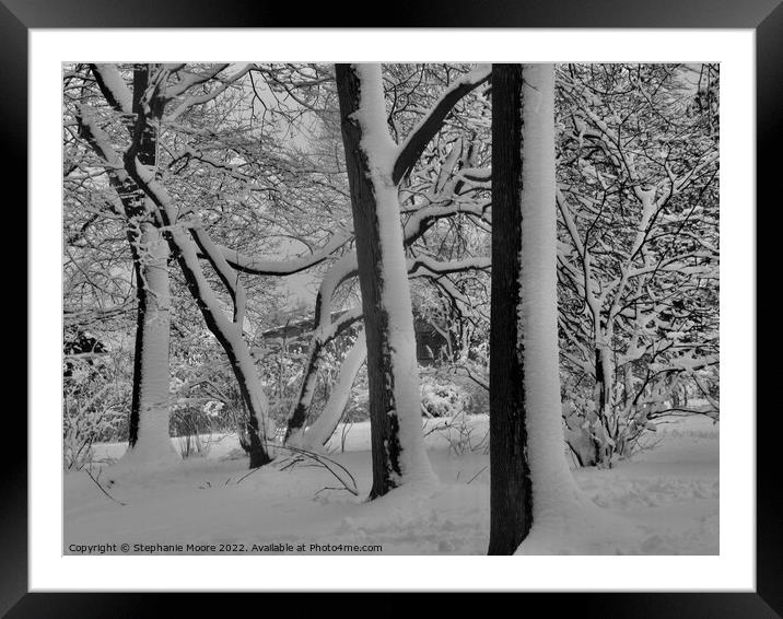 Trees in the park Framed Mounted Print by Stephanie Moore