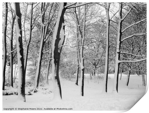 Snow covered trees Print by Stephanie Moore