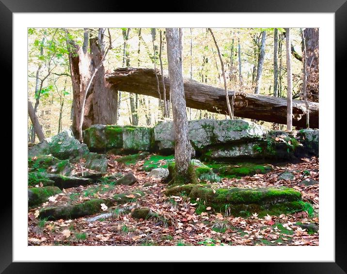 Fallen tree Framed Mounted Print by Stephanie Moore