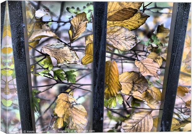 Leaves Canvas Print by Kevin Plunkett