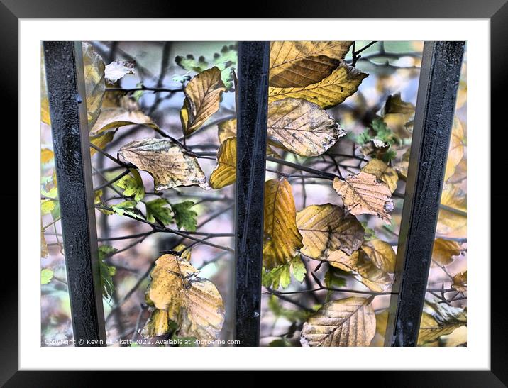 Leaves Framed Mounted Print by Kevin Plunkett