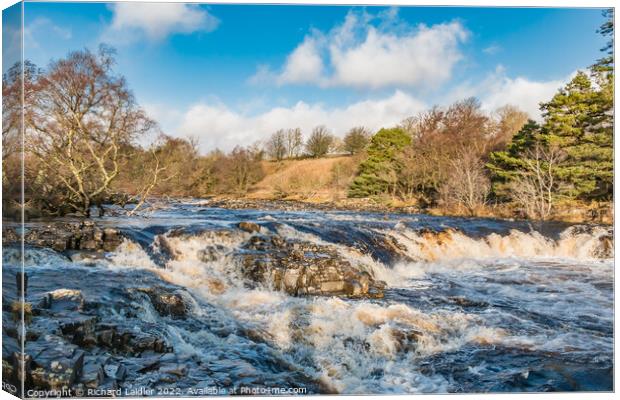 River Tees at Low Force Waterfall on Xmas Eve 2022 Canvas Print by Richard Laidler