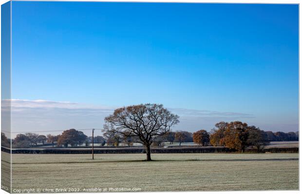 The real Cheshire countryside in winter Canvas Print by Chris Brink