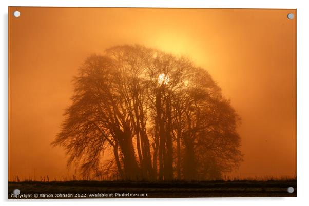 Misty trees Acrylic by Simon Johnson