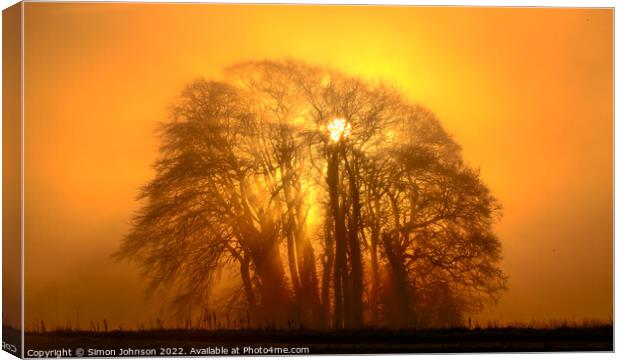 Mist sun, and Trees Canvas Print by Simon Johnson