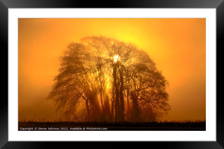 Mist sun, and Trees Framed Mounted Print by Simon Johnson