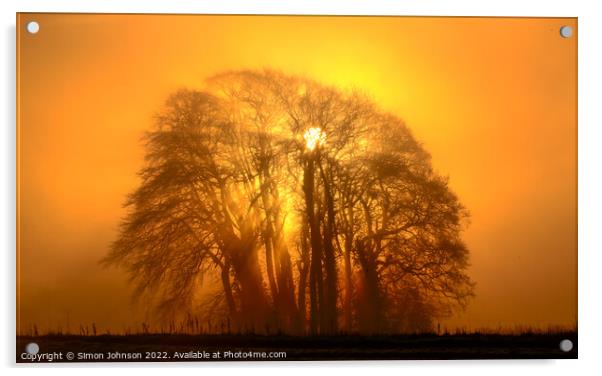 Mist sun, and Trees Acrylic by Simon Johnson